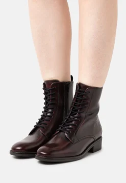 Anna Field Leather - Bottines À Lacets - Bordeaux